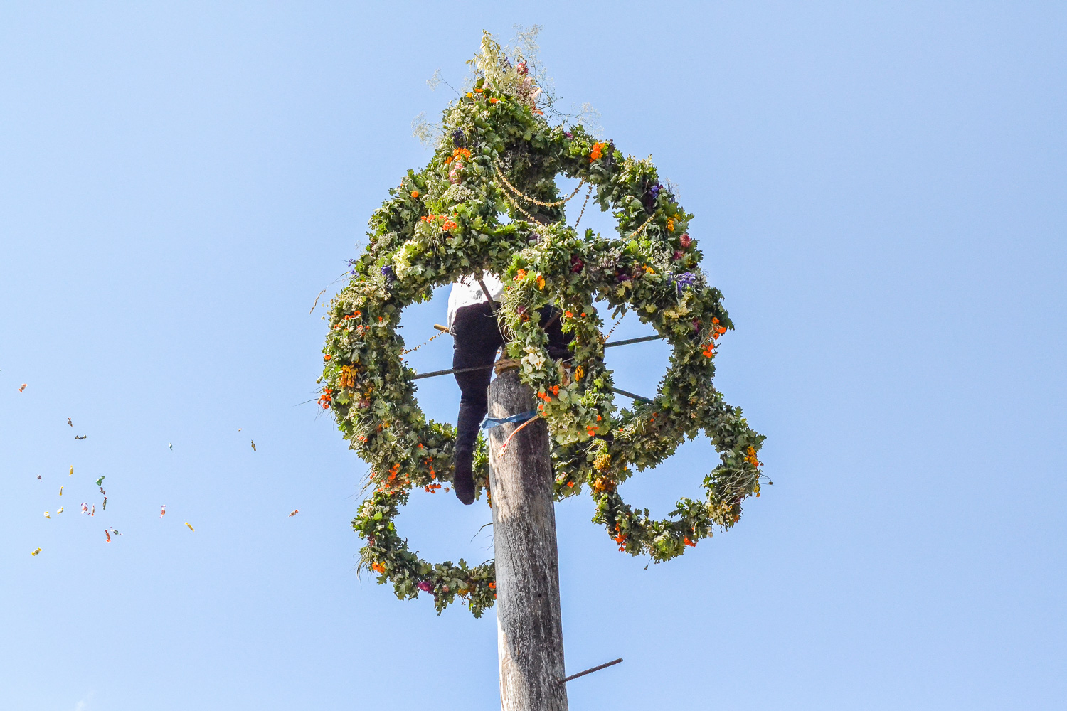 Tradiții - Sărbătoarea coroanei - Mălâncrav 2015